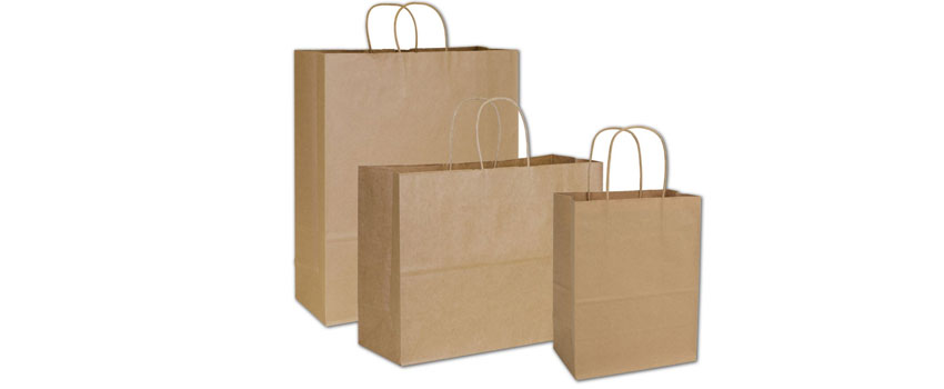 Kraft Paper Bags  Flat & Twisted Handle Paper Bags - ANS Plastics