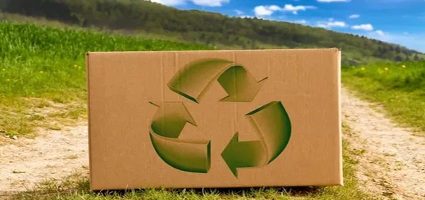 Cardboard box with a green recycling symbol on a dirt path Sustainable Packaging for E-commerce